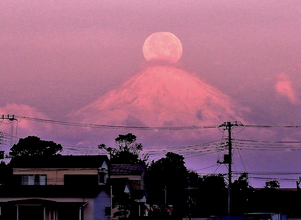 Diamond or Pearl Fuji