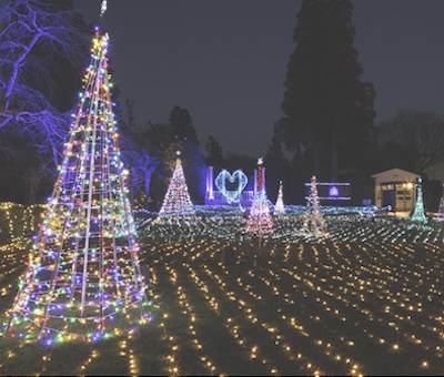 illumination-nikkonarita