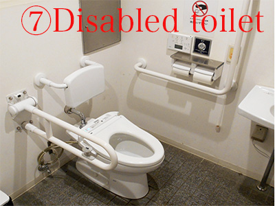 disabled toilet