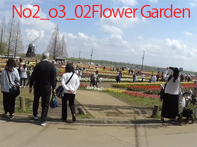 flowergarden